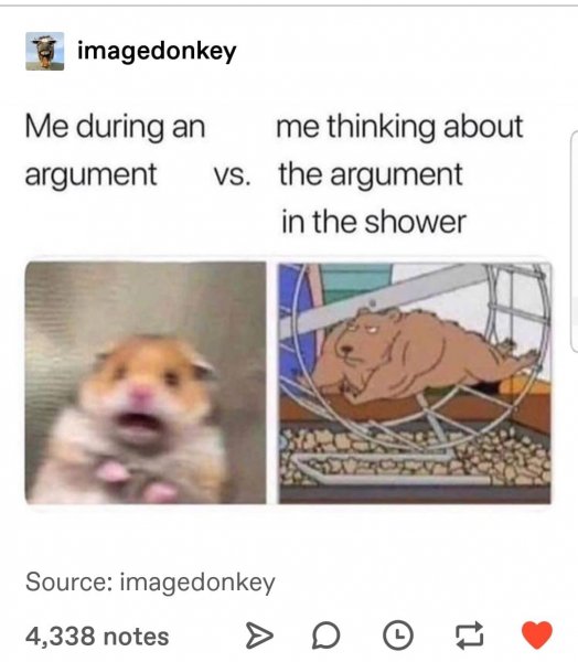 Хомяк испугался Мем
