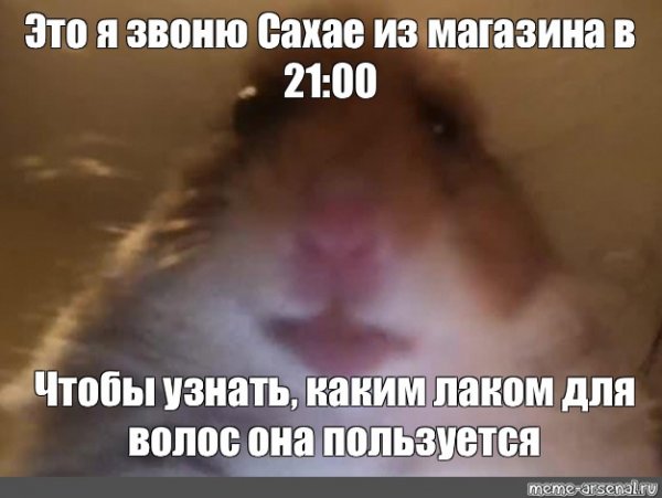 Смешной хомяк из мема