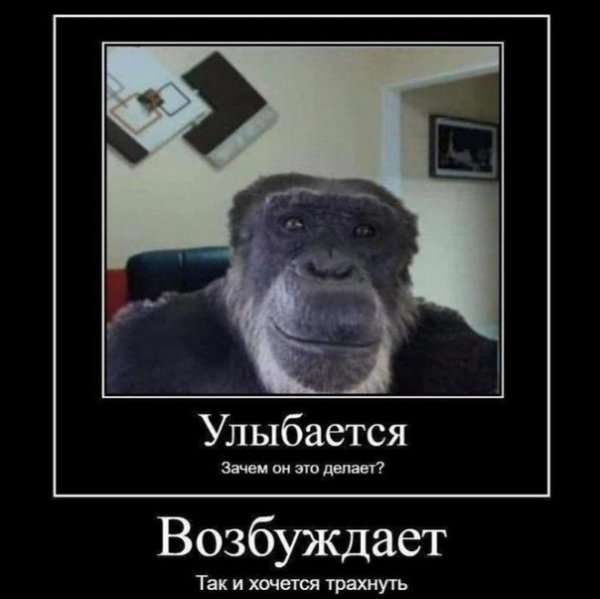 Обезьяна улыбается Мем