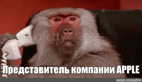 Обезьяна за компом Мем