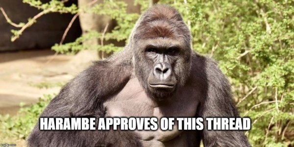 Harambe немец