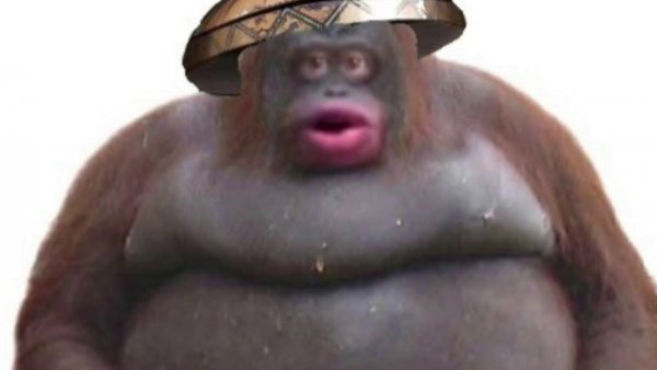 Обезьяна из мемов
