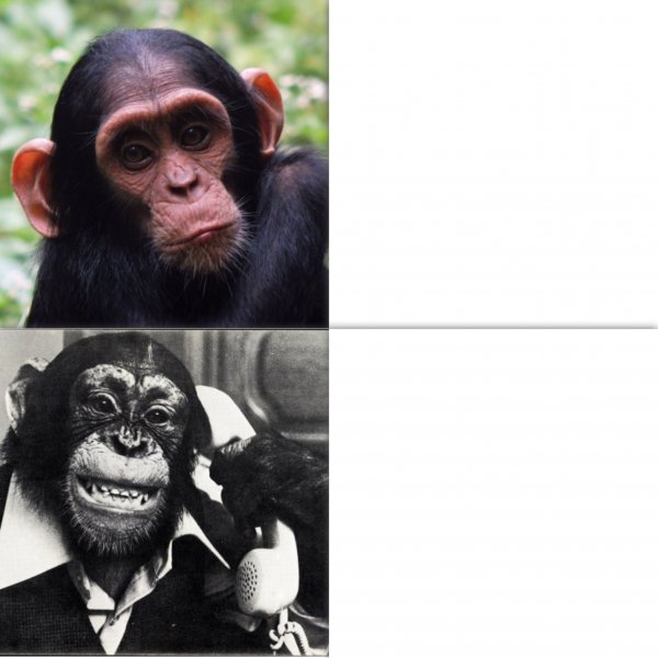 Обезьяна Мем
