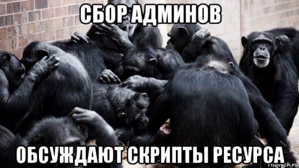 Обезьяны обсуждают Мем