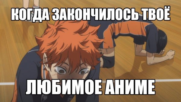 Любимое аниме кончилось