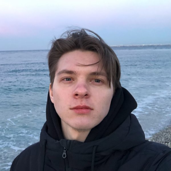 Кот визг