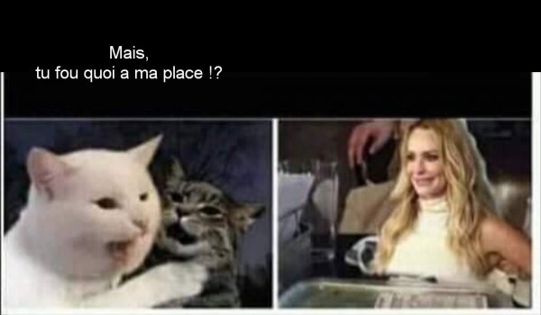 Женщина крутчит на кота