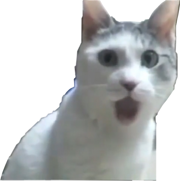 Удивленный кот Мем