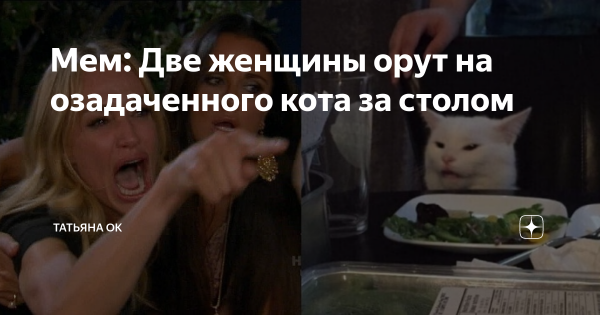 Мем с котом за столом