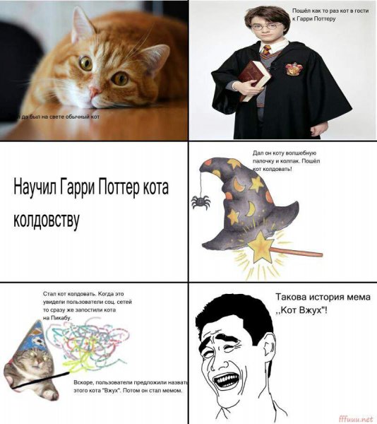 Мемы про котов и людей