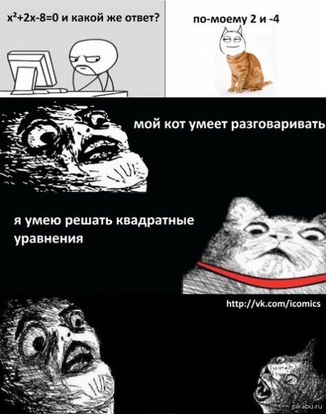 Мемы про котов без матов
