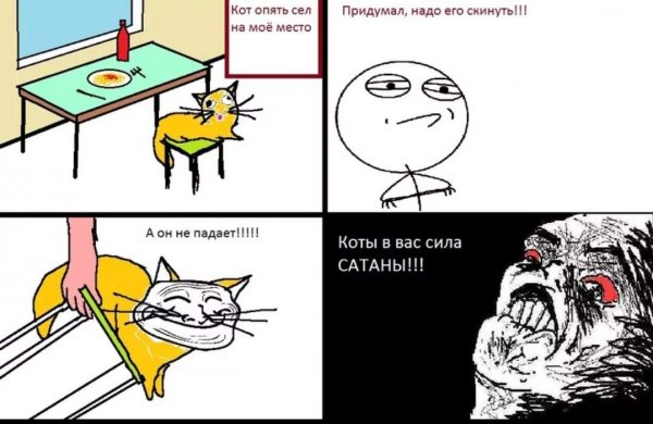 Смешные мемы про котов