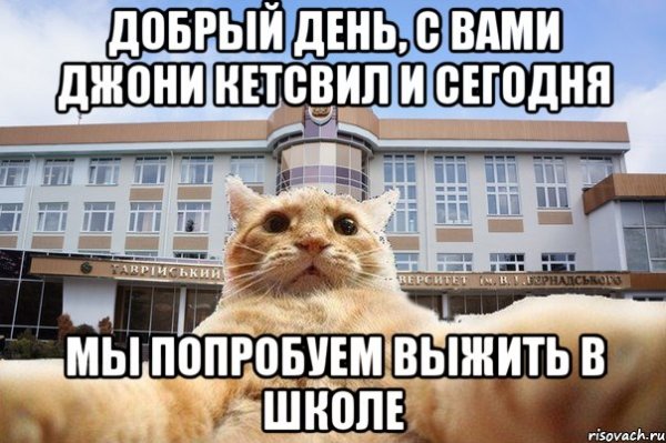 Мемы про котов