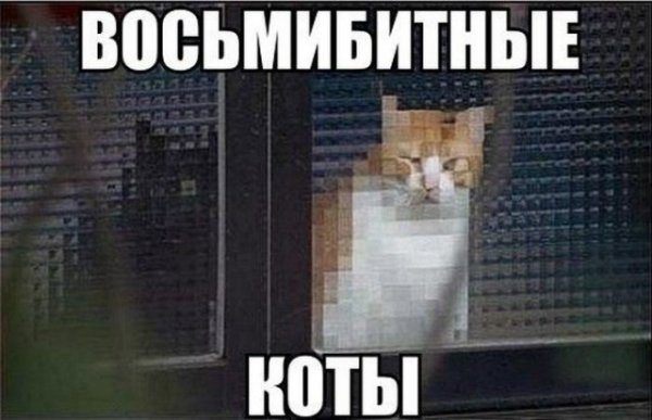 Восьмибитные коты