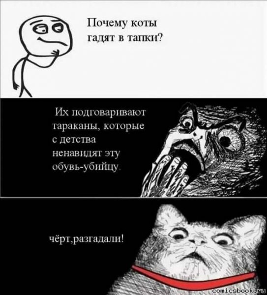 Смешные мемы про котов