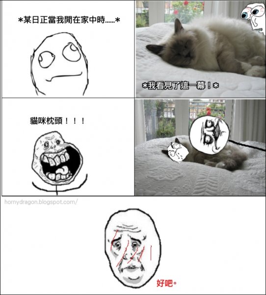 Мемы про котов