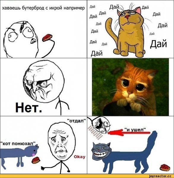 Мемы с надписями с котами без матов