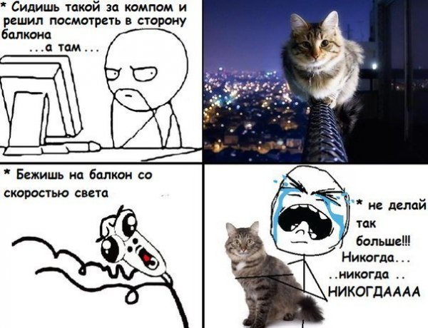 Смешные мемы про котов