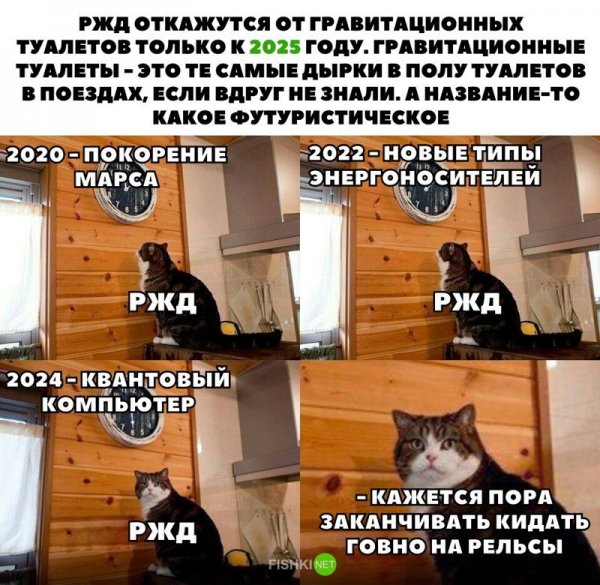 Кот с часами пора
