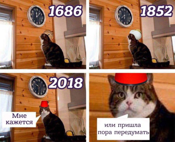 Мем кот пора