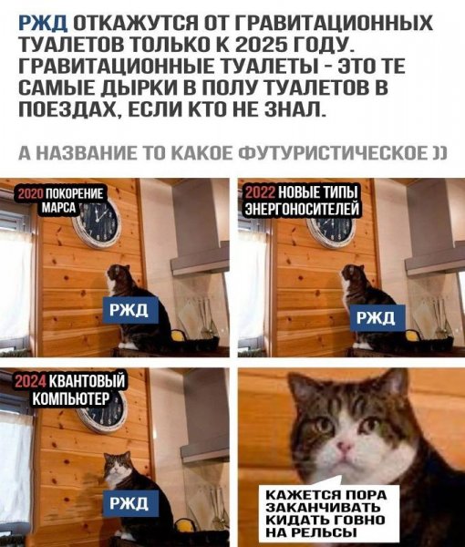 Время котик