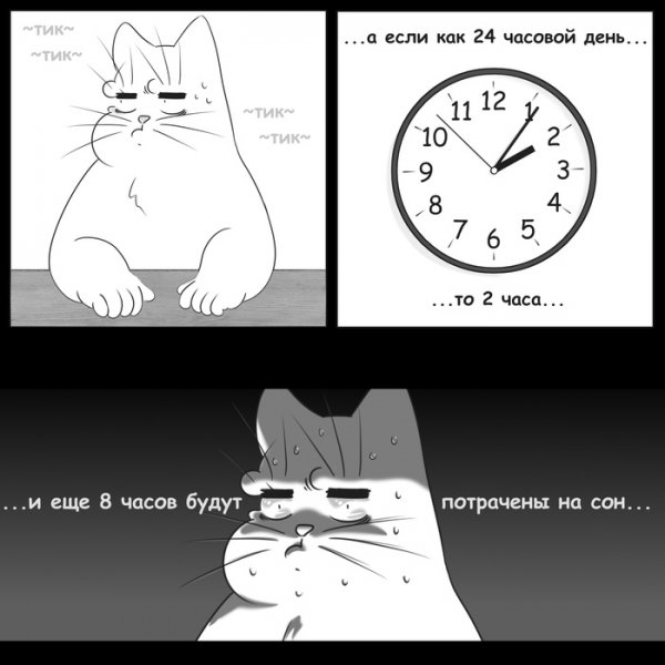 Кот смотрит на часы
