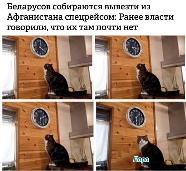 Мем с котом и часами пора шаблон