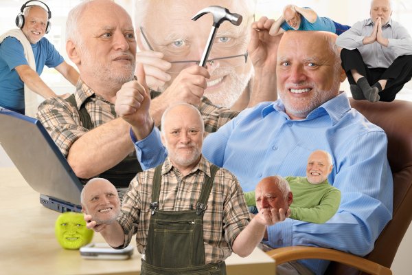 Harold Pain