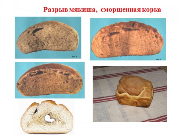 Приемка хлеба по количеству и качеству