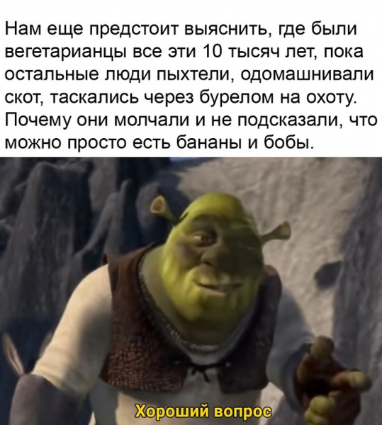Хороший вопрос Шрек оригинал