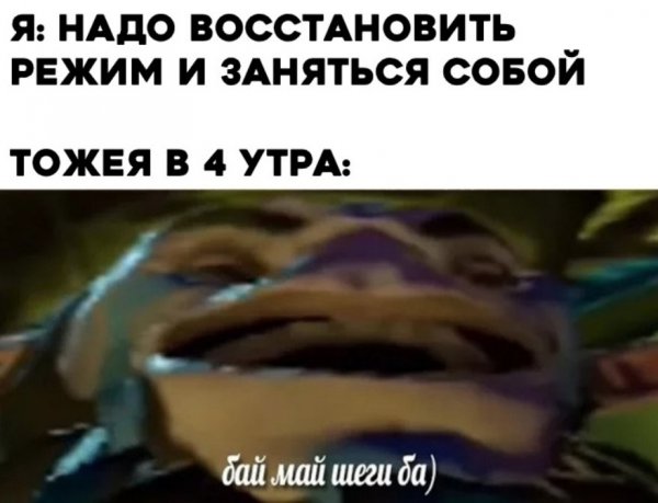 Бай май Шегги ба