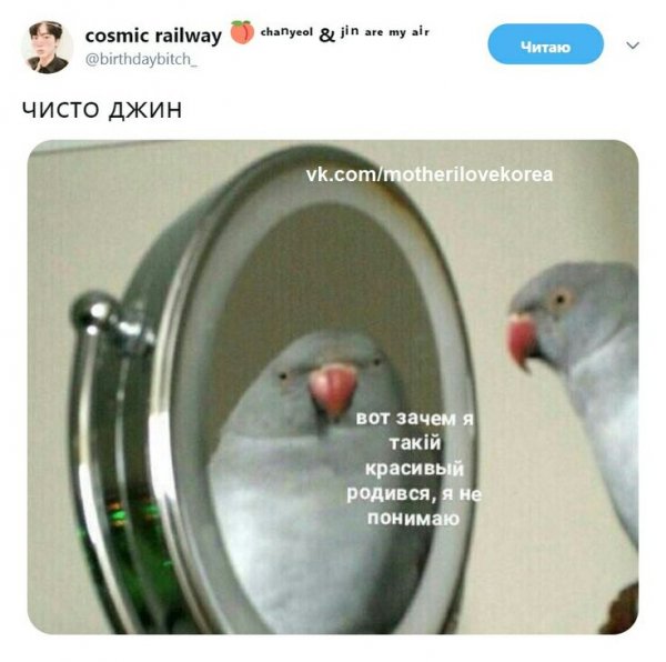 Зеркало для попугаев волнистых