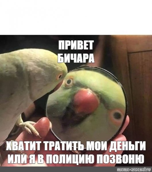 Мем люди меняются попугай
