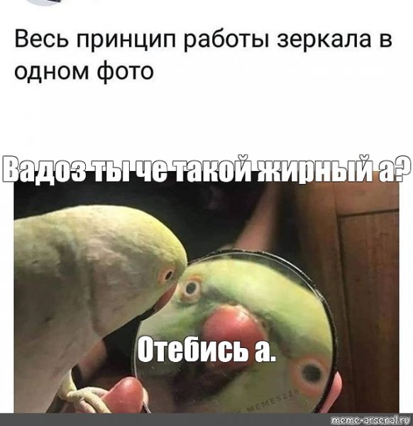 Попугай в зеркале Мем