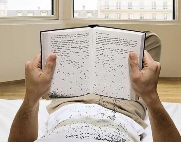 Приколы про книги