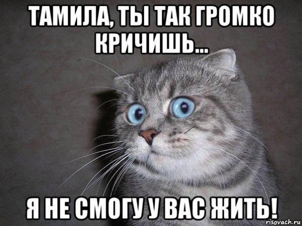 Удивленный Мем