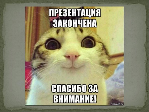 Презентация закончена спасибо за внимание