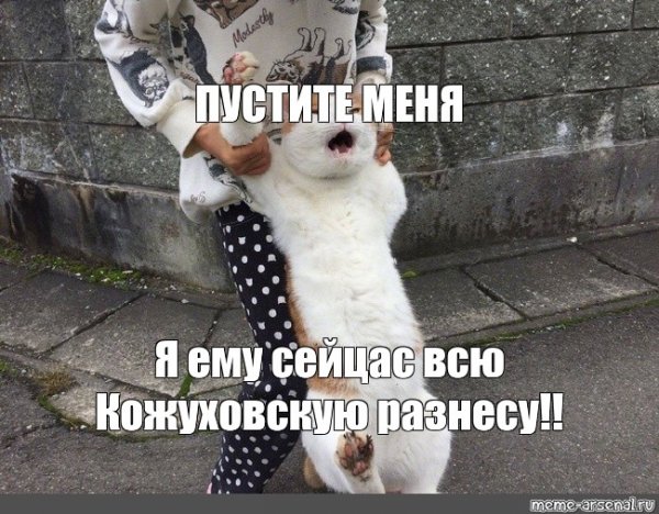 Отпустите меня я им втащу