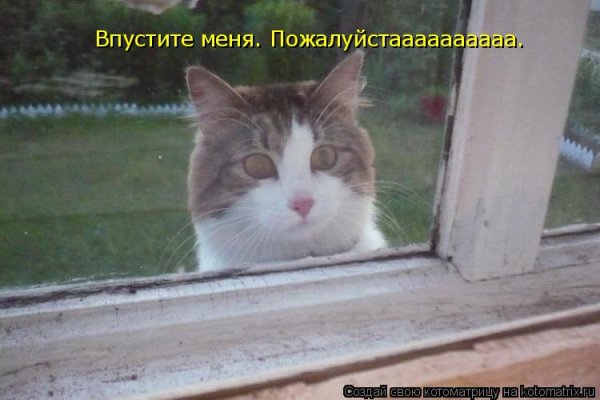 Впустите меня впустите
