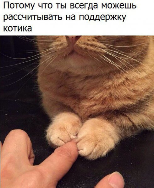 Биохимия мемы