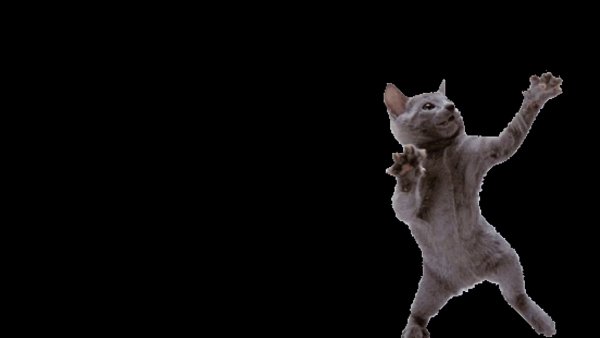 Танцующий кот Мем