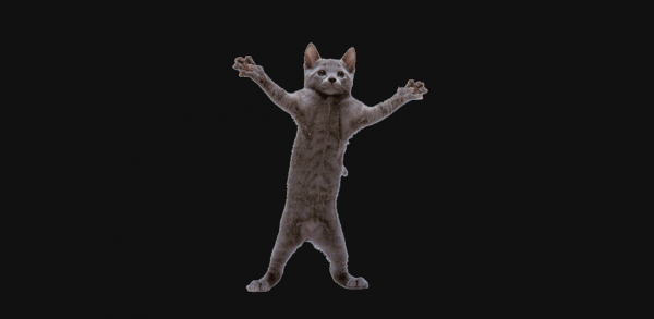 Танцующий кот