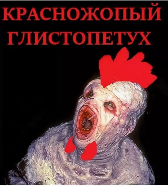Мохнатый письмо грыз