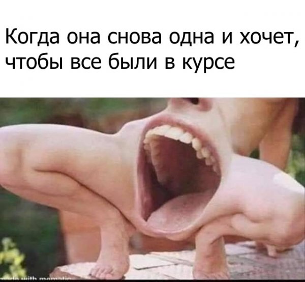 Писько грыз