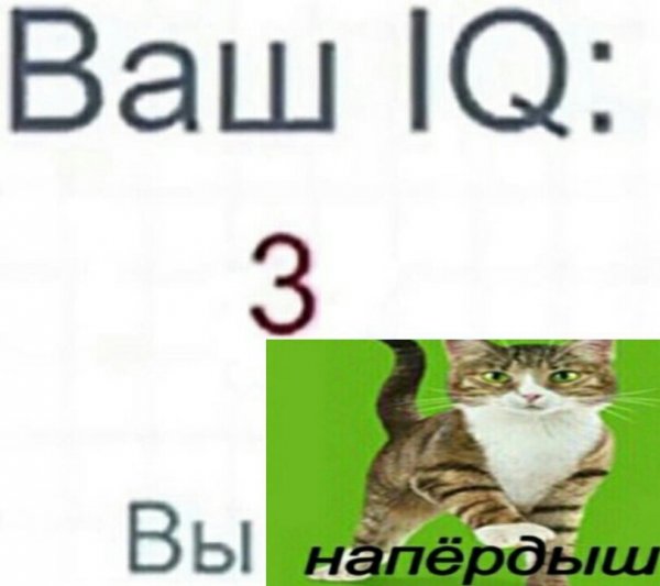 Мем мохнатый