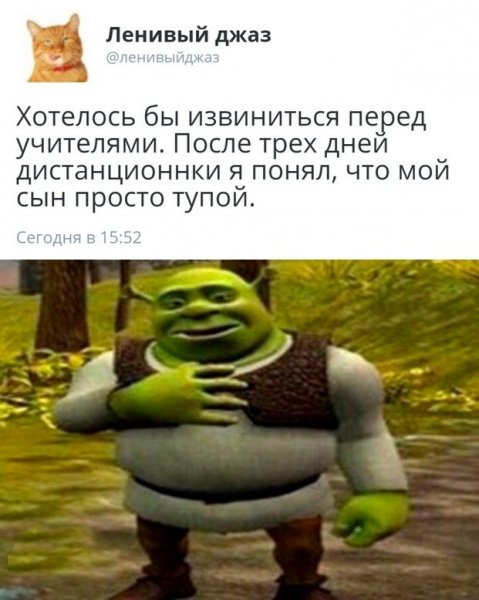 Простите БЫКАНУЛ Шрек