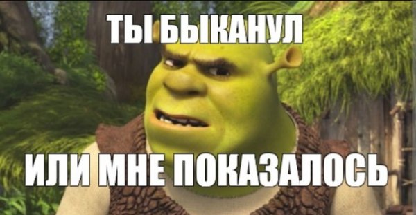 Ты БЫКАНУЛ или мне показалось Мем Шрек