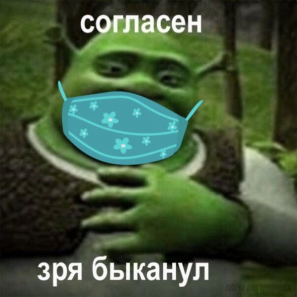 Простите БЫКАНУЛ Шрек