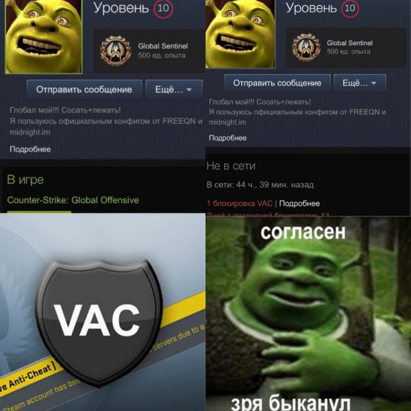 Извиняюсь БЫКАНУЛ Шрек