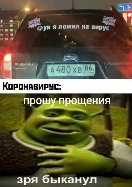 Мемы со Шреком зря БЫКАНУЛ